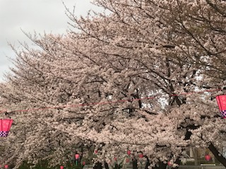 大蔵池公園（豊明市新栄町）